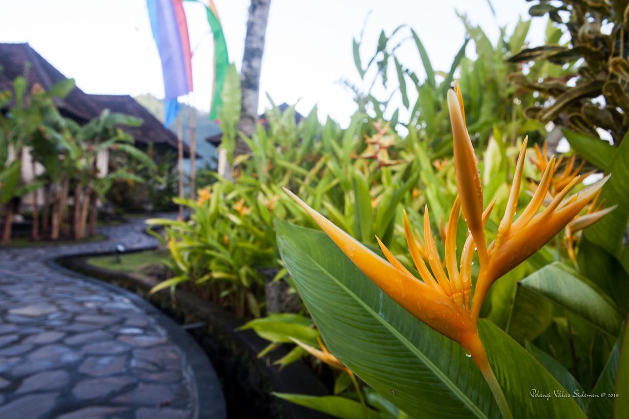 Pelangi Villas Sidemen By Agata Exterior foto